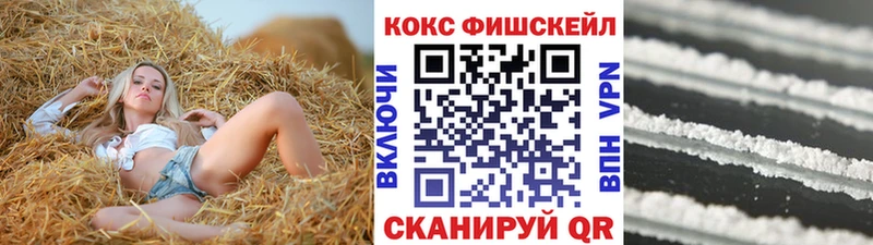 купить наркоту  Межгорье  COCAIN Fish Scale 