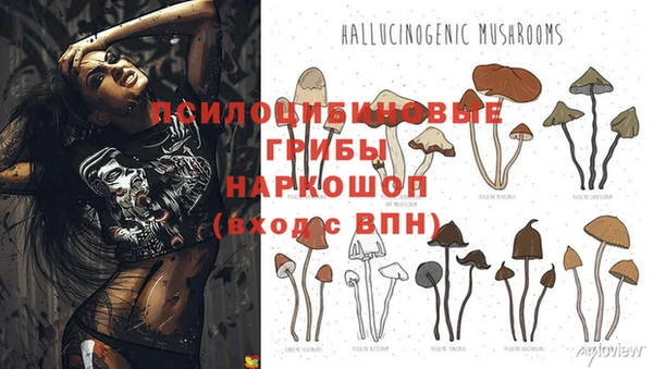 метадон Ладушкин