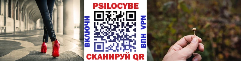 Псилоцибиновые грибы Psilocybe  Межгорье 